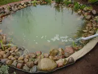 DSC04344.webp