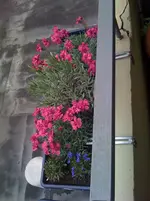 IMG_0048.webp