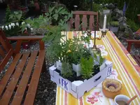 11.05.2010 005.webp