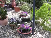 11.05.2010 035.webp