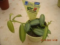 08.05.2010 010.webp