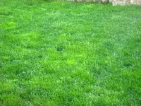 IMG_1574.webp