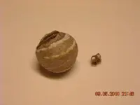 11.05.2010 002.webp