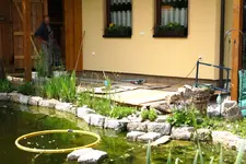 Teichterrasse 11.05 (4).webp