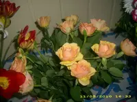 JD800002.webp