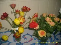 JD800003.webp