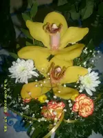 JD800005.webp