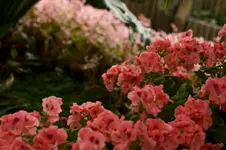 impressionen.webp