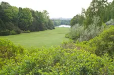 park.webp