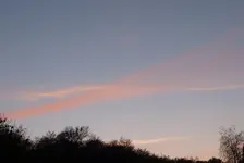 P1030486.webp