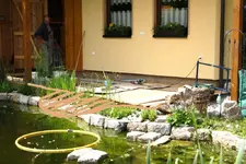 Teichterrasse 11.05 (4).webp