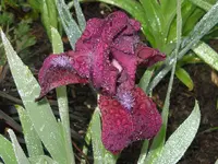 IMG_4864_1024x768.webp