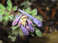 IMG_4870_1024x768.webp