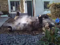 test.webp