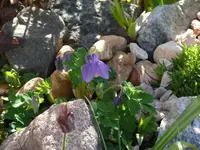P1100896_800_600.webp