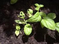 12052010601.webp