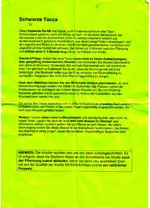 tacca.webp