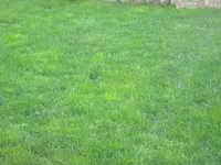 IMG_1574-3.webp