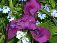DSCI0893.webp