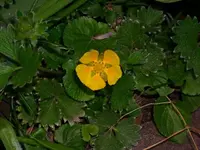k-DSCI0895.webp