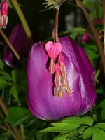 k-DSCI0905.webp