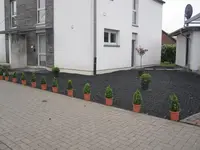Bild 095.webp