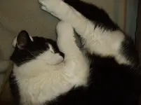 IMGP2606.webp