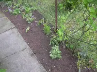 DSCN0142.webp