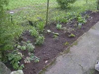 DSCN0143.webp