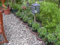 DSCN0140.webp