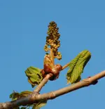 DSC_4951.webp