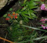 DSC_5152.webp