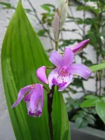 IMG_0561.webp