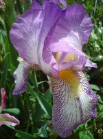 DSC01135.webp