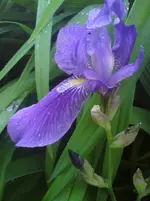 DSC01097.webp