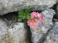 CIMG3754.webp