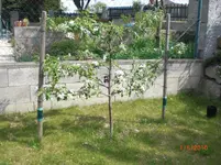 CIMG3751.webp