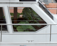 KrbisamFenster-1.webp