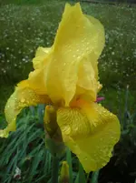 DSC01136.webp
