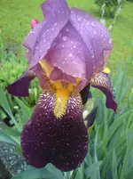 DSC01139.webp