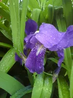 DSC01140.webp