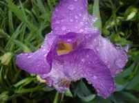 DSC01138.webp