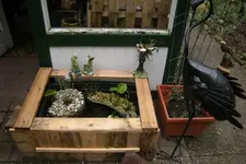 hochbeet 065.webp