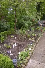 hochbeet 087.webp