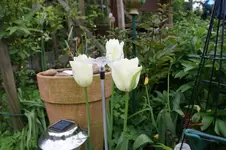 DSC02910.webp