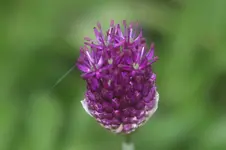 DSC02922.webp