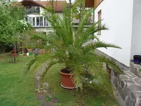 DSC01233.webp