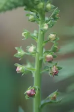 DSC02924.webp