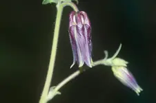 DSC02925.webp