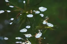 DSC02917.webp